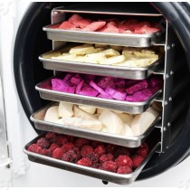 Αποξηραντής τροφίμων 5 θέσεων με τεχνολογία προκατάψυξης