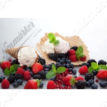Πλάκα Waffoeis για χωνάκια και μπολάκια παγωτού για THERMOCOOK Πλάκα Waffoeis για χωνάκια και μπολάκια παγωτού για THERMOCOOK