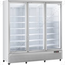 Ψυγείο βιτρίνα αναψυκτικών RCG 1900 COOL HEAD | Σε λευκό