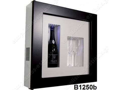 Βιτρίνα συντηρητής κρασιού Quadro Vino 12