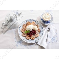 Πλάκα βάφλα Μαργαρίτα 210 για THERMOCOOK
