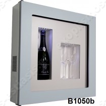 Βιτρίνα συντηρητής κρασιού Quadro Vino 12